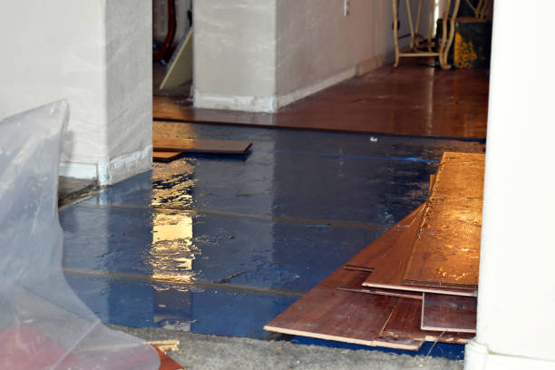Professional Emergency Water Damage Restoration technician working in Buchanan, ND